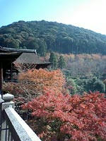 紅葉