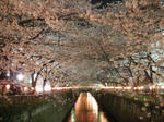 DSCN8055.JPG