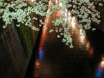 DSCN8087.JPG