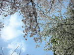 DSCN8203.JPG