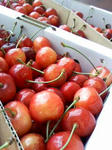 cherry