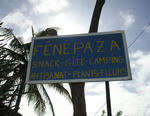 fene1.jpg
