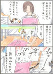 fukuroneko.jpg