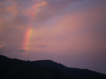 PA110005.JPG
