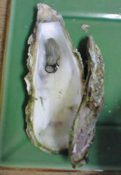 8583c9f5.jpg