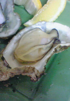 cba36d57.jpg