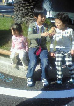 d7e5268f.jpg