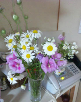d0b80e71.jpg