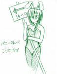 sai_bunny.jpg
