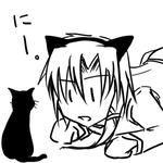 sai_neko.jpg