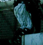 PDVD_057.jpg