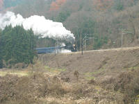 08c45f6d.jpg