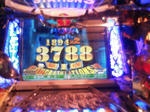 TS3G0331.JPG