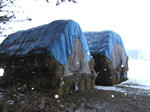 SANY0005.JPG