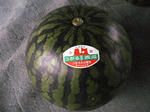 SANY0041.JPG