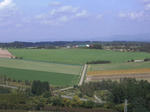 SANY0079.JPG