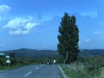SANY0096.JPG