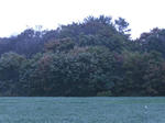 SANY0104.JPG
