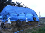 SANY0105.JPG