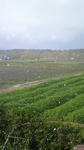 P1000002.JPG