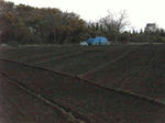 SANY0106.JPG