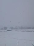 P1000012.JPG