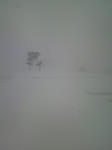 P1000018.JPG