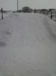 P1000026.JPG