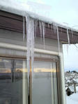 P1000029.JPG