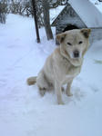 2010020615430000.JPG