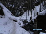 SANY0178.JPG