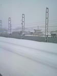 0534dce3.JPG
