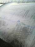 P1000023.JPG