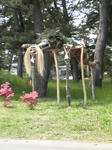 P1000040.JPG