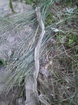 P1000048.JPG