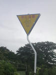 d4dd19e9.JPG