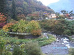 SANY0078.JPG