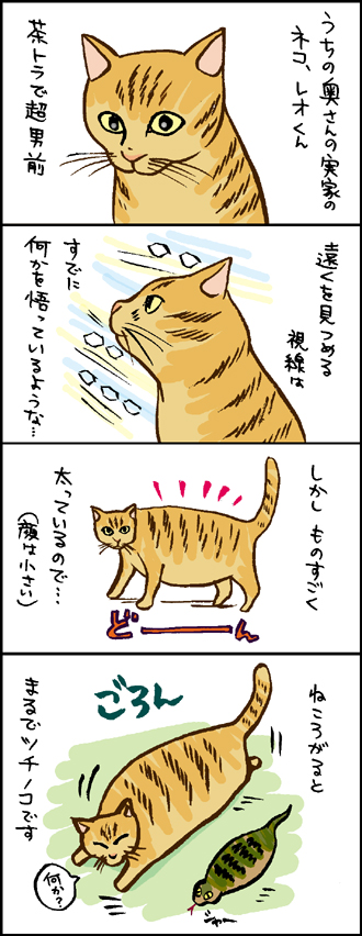 ねこビギナー・その1