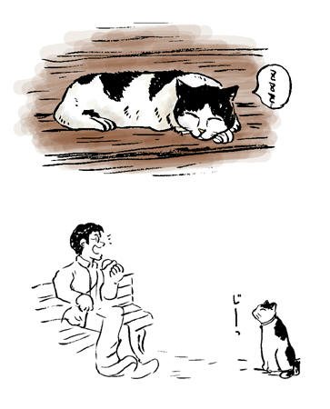 昼寝やおねだり？