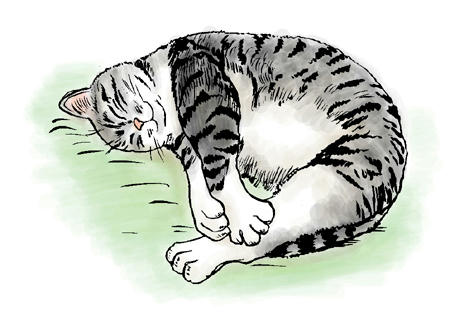 お昼寝