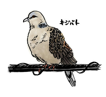 ゼゼポッポー♪