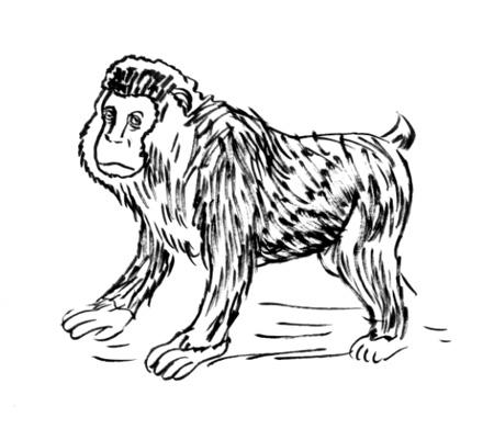 描くのむずかしい