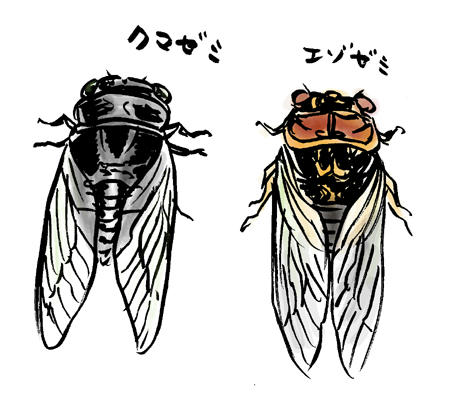 しぶいのと派手なのと