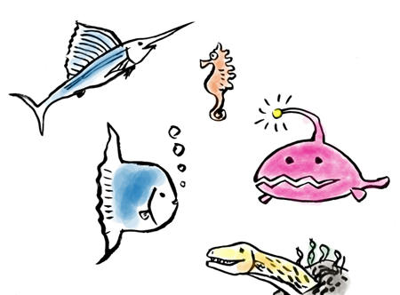 海の生き物