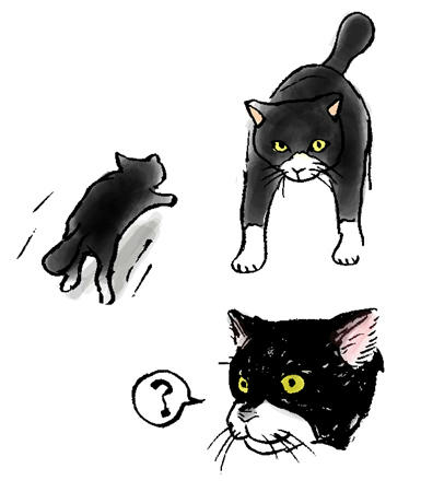 しっぽが丸かった