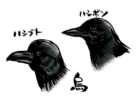 わかるかな〜