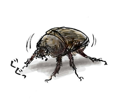 飛ぶぞ！