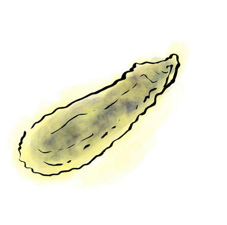 好きー