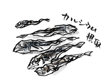 いわしのミイラ