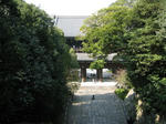 6021c347.jpg